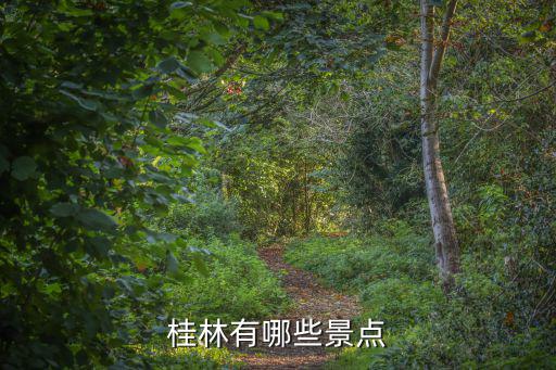 桂林有哪些景點