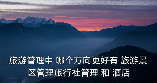 旅游管理中 哪個方向更好有 旅游景區(qū)管理旅行社管理 和 酒店