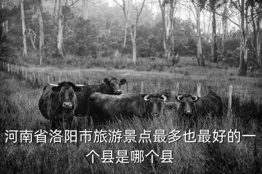 河南省洛陽市旅游景點最多也最好的一個縣是哪個縣