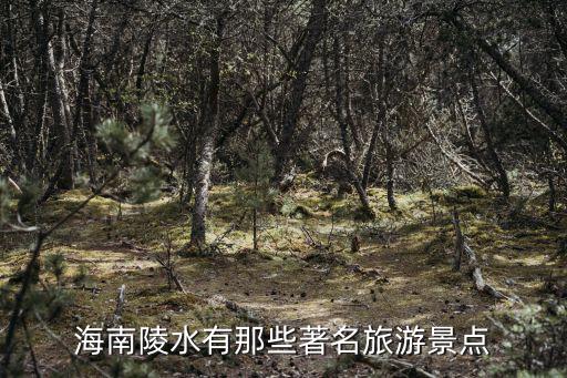 海南陵水有那些著名旅游景點(diǎn)
