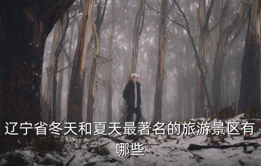 遼寧冰雪旅游有哪些景區(qū)，遼寧省冬天和夏天最著名的旅游景區(qū)有哪些