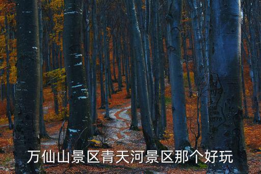 萬仙山景區(qū)青天河景區(qū)那個(gè)好玩