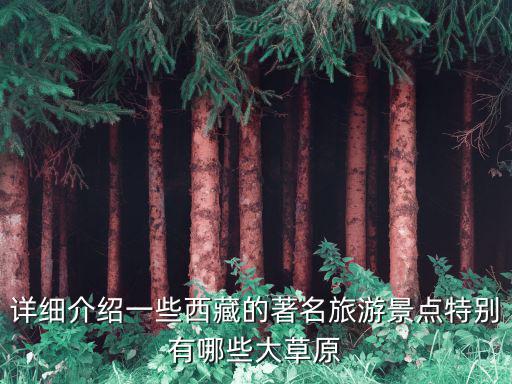 詳細介紹一些西藏的著名旅游景點特別有哪些大草原