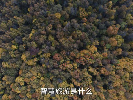 什么是智慧旅游和智慧景區(qū)，智慧旅游智慧景區(qū)究竟有哪些標(biāo)準(zhǔn)
