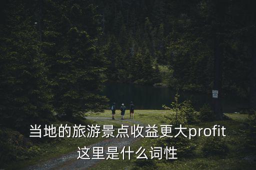 當(dāng)?shù)氐穆糜尉包c收益更大profit這里是什么詞性