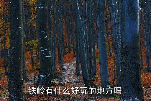 去鐵嶺旅游哪個(gè)景區(qū)好點(diǎn)，鐵嶺有什么好玩的地方嗎