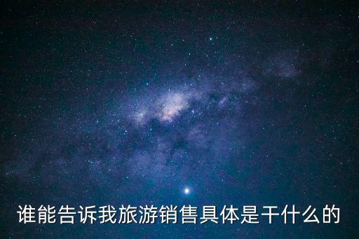 誰能告訴我旅游銷售具體是干什么的