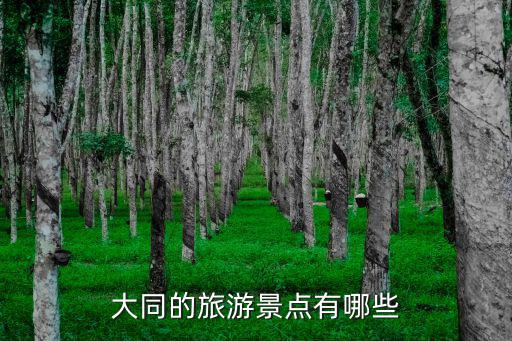 大同免費(fèi)旅游景區(qū)有哪些，大同的旅游景點(diǎn)有哪些