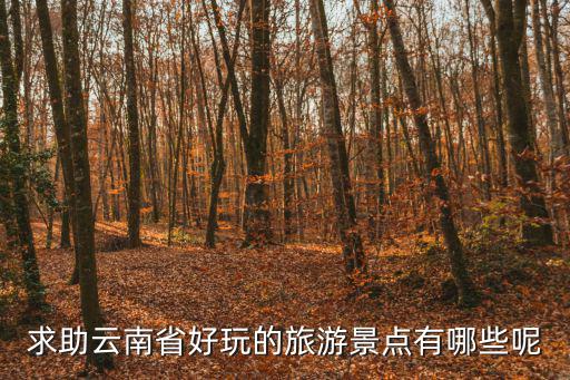 求助云南省好玩的旅游景點(diǎn)有哪些呢