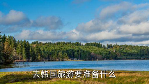 在韓國(guó)景區(qū)旅游需要什么，韓國(guó)旅游需要什么手續(xù)
