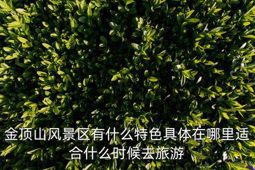 金頂山風(fēng)景區(qū)有什么特色具體在哪里適合什么時(shí)候去旅游