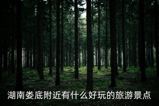桑植附近有哪些景區(qū)旅游，寧夏周邊有什么旅游景點