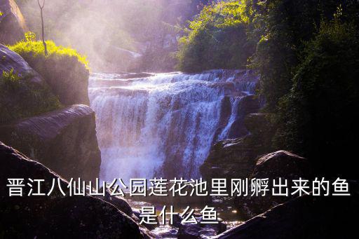 旅游景區(qū)的魚是什么魚，游得第十快的魚是什么魚