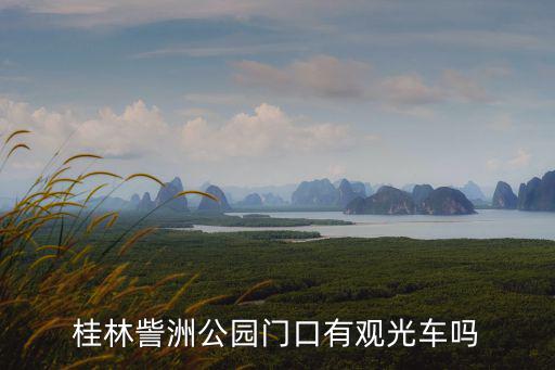 桂林哪個景區(qū)有旅游觀光車，請問桂林市旅游觀光車的起點在哪里