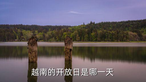 越南的開(kāi)放日是哪一天