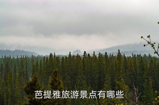 芭提雅有哪些旅游景區(qū)，芭提雅旅游景點(diǎn)有哪些