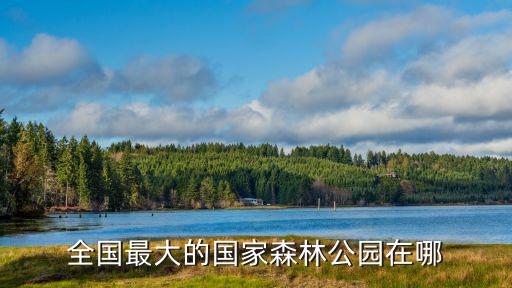 有哪些國(guó)家森林旅游景區(qū)，全國(guó)最大的國(guó)家森林公園在哪