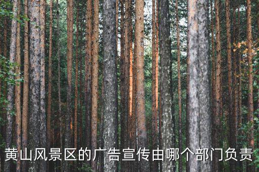 黃山風(fēng)景區(qū)的廣告宣傳由哪個(gè)部門負(fù)責(zé)