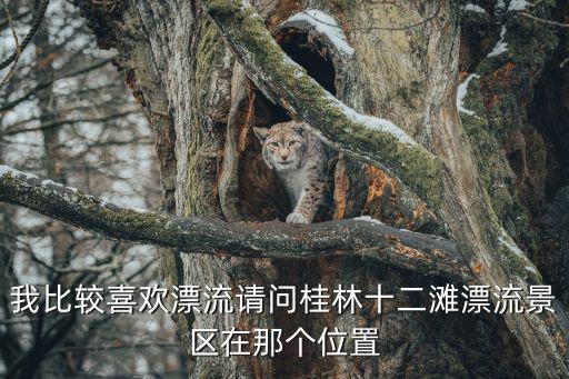 我比較喜歡漂流請(qǐng)問桂林十二灘漂流景區(qū)在那個(gè)位置