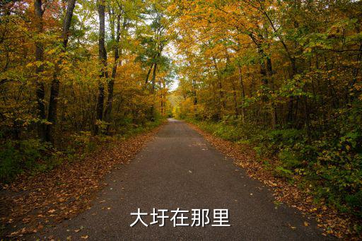 大圩在那里