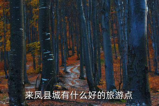 來鳳有哪些旅游景區(qū)，來鳳縣城有什么好的旅游點