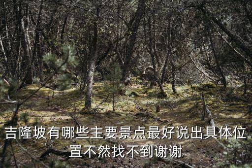 吉隆坡有哪些主要景點(diǎn)最好說出具體位置不然找不到謝謝