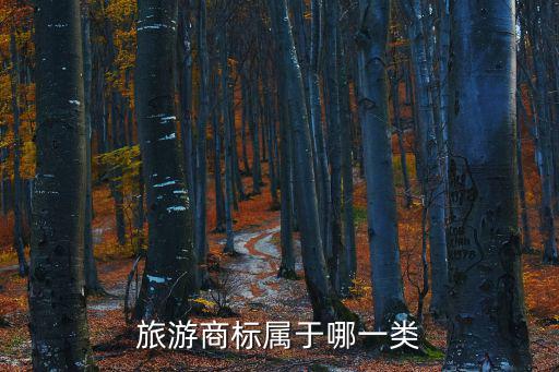 旅游景區(qū)是商標哪個類，旅游商標屬于哪一類
