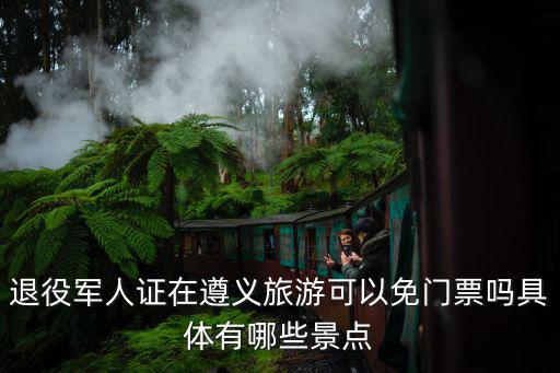退役軍人證在遵義旅游可以免門(mén)票嗎具體有哪些景點(diǎn)