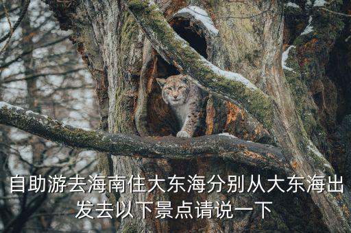 自助游去海南住大東海分別從大東海出發(fā)去以下景點(diǎn)請說一下