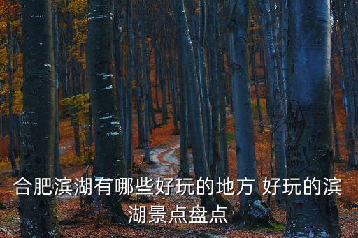 合肥濱湖有哪些好玩的地方 好玩的濱湖景點盤點