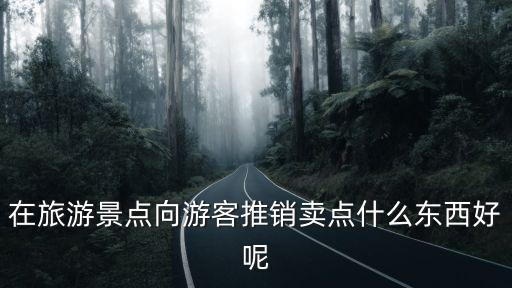 旅游團(tuán)的景區(qū)賣(mài)什么，在旅游景點(diǎn)向游客推銷(xiāo)賣(mài)點(diǎn)什么東西好呢