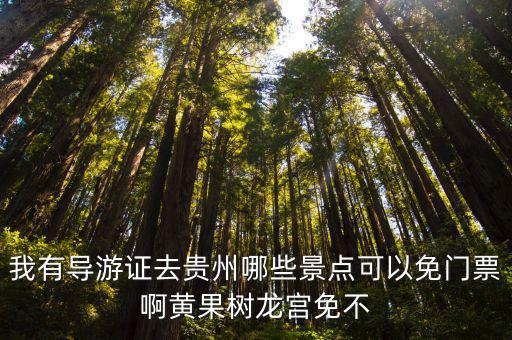 我有導(dǎo)游證去貴州哪些景點(diǎn)可以免門票啊黃果樹龍宮免不
