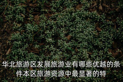 華北旅游區(qū)發(fā)展旅游業(yè)有哪些優(yōu)越的條件本區(qū)旅游資源中最顯著的特