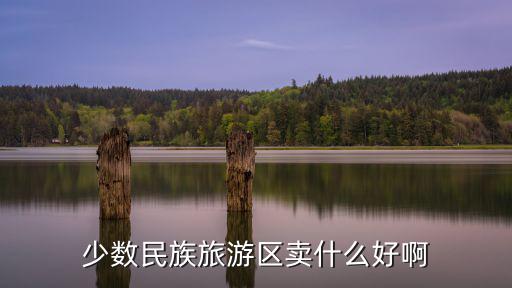 少數(shù)民族旅游區(qū)賣什么好啊