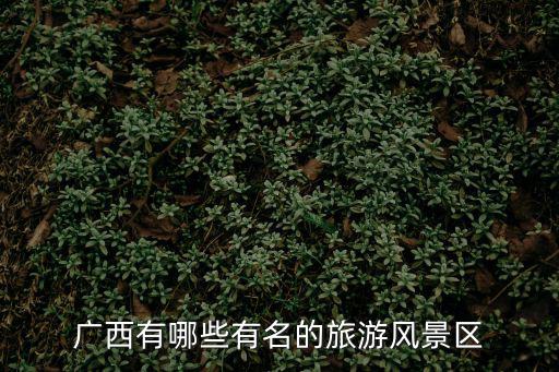 廣西有哪些有名的旅游風(fēng)景區(qū)