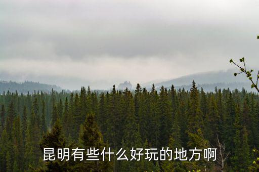 昆明哪個(gè)旅游景區(qū)好玩一點(diǎn)，昆明有什么好玩的