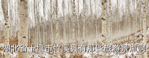 竹溪縣有什么旅游景區(qū)，湖北省十堰市竹溪縣有那些旅游景點啊
