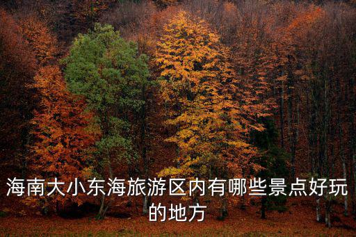 大東海有什么旅游景區(qū)，海南大小東海旅游區(qū)內(nèi)有哪些景點(diǎn)好玩的地方