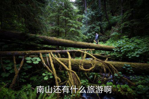 南昌南山旅游景區(qū)有哪些，南山還有什么旅游啊
