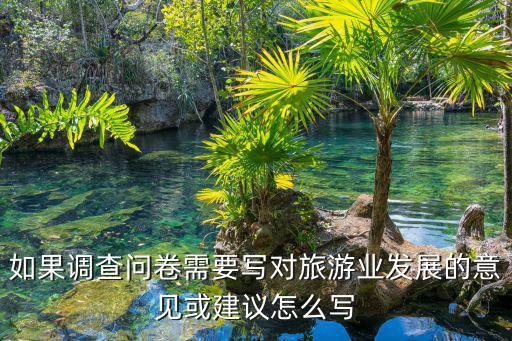 如果調(diào)查問卷需要寫對旅游業(yè)發(fā)展的意見或建議怎么寫