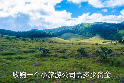 收購一個小旅游公司需多少資金