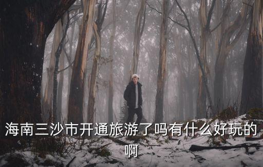 海南三沙市開通旅游了嗎有什么好玩的啊