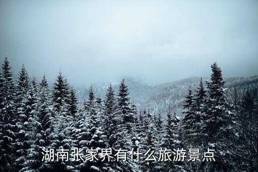 湖南張家界有什么旅游景點(diǎn)
