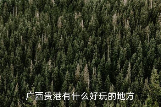 貴港地區(qū)有哪些旅游景區(qū)，廣西貴港有什么旅游景點嗎