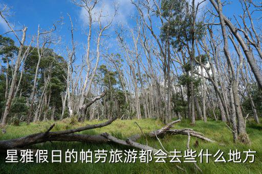 帕勞有哪些旅游景區(qū)，星雅假日的帕勞旅游都會去些什么地方