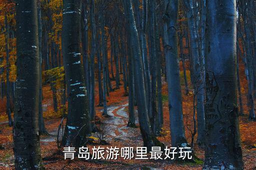 青島哪個(gè)景區(qū)好去旅游最好，青島有什么好的旅游勝地