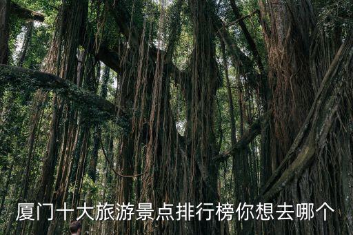 廈門哪個旅游景區(qū)有玻璃橋，廈門雙子塔有玻璃棧道嗎