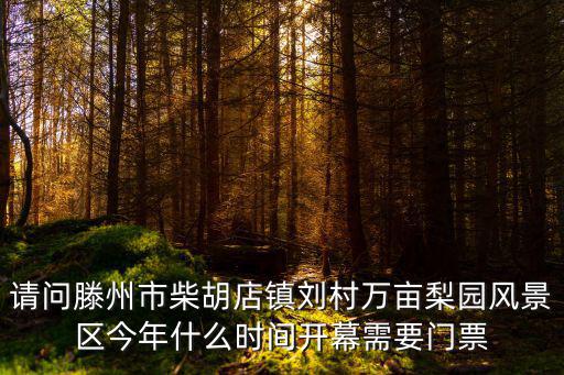 滕州市哪個旅游景區(qū)開園了，山東滕州新出的景區(qū)叫什么