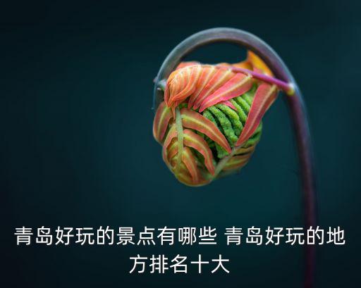 青島哪個(gè)景區(qū)旅游好玩一點(diǎn)，青島好玩的景點(diǎn)有哪些 青島好玩的地方排名十大