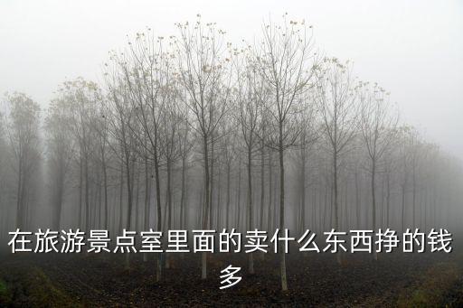 旅游景區(qū)避暑滴能賣什么，在旅游景區(qū)里賣什么東西最準(zhǔn)賺錢又簡(jiǎn)單